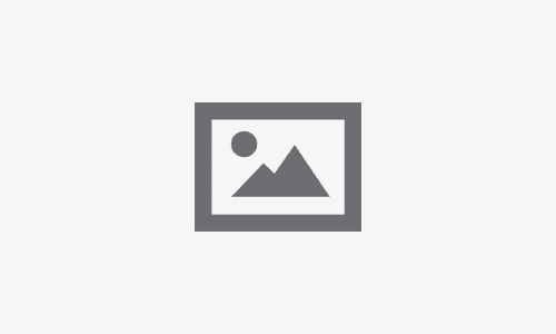 Video Google